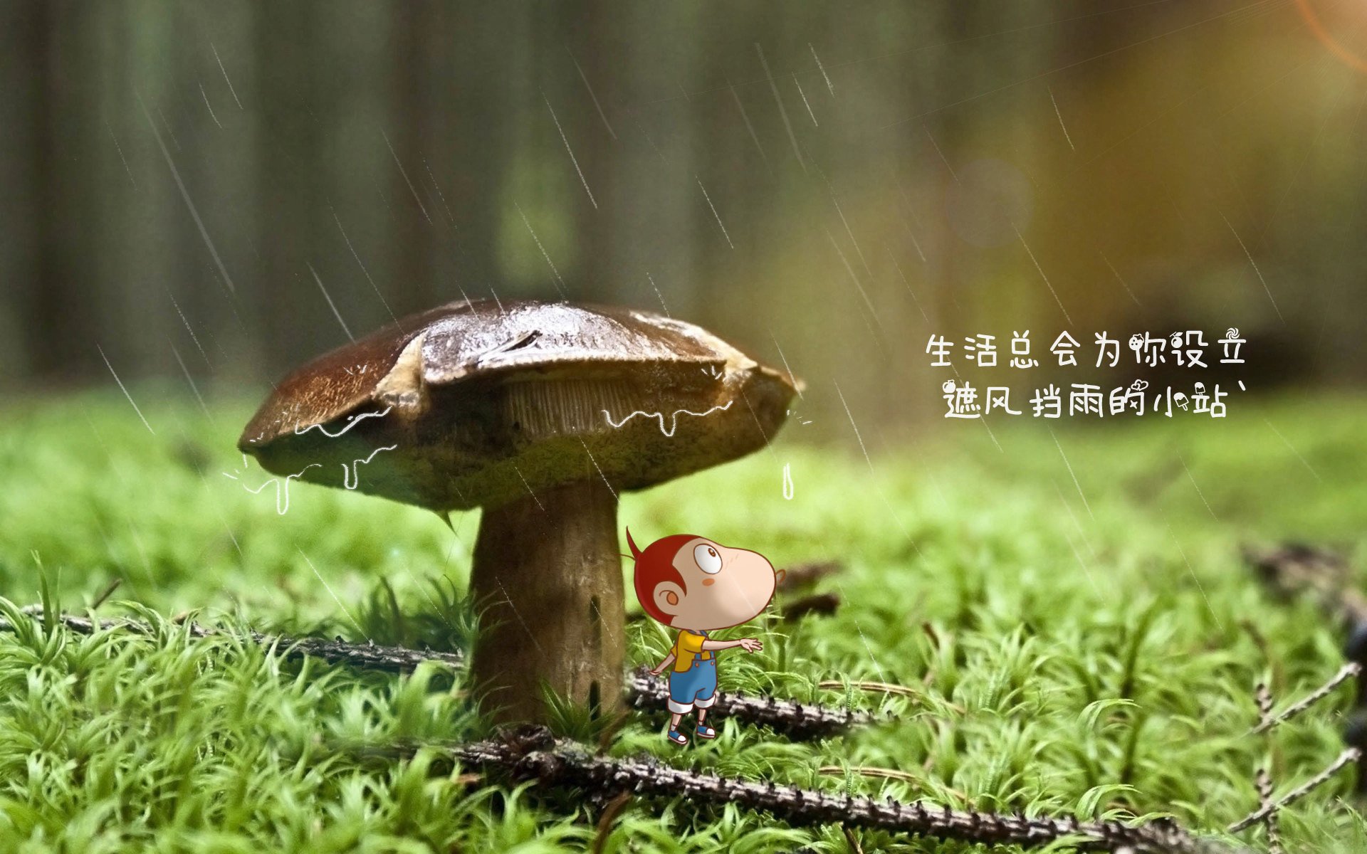 _篮网团队配合默契，战绩持续攀升_，篮网队最新签约