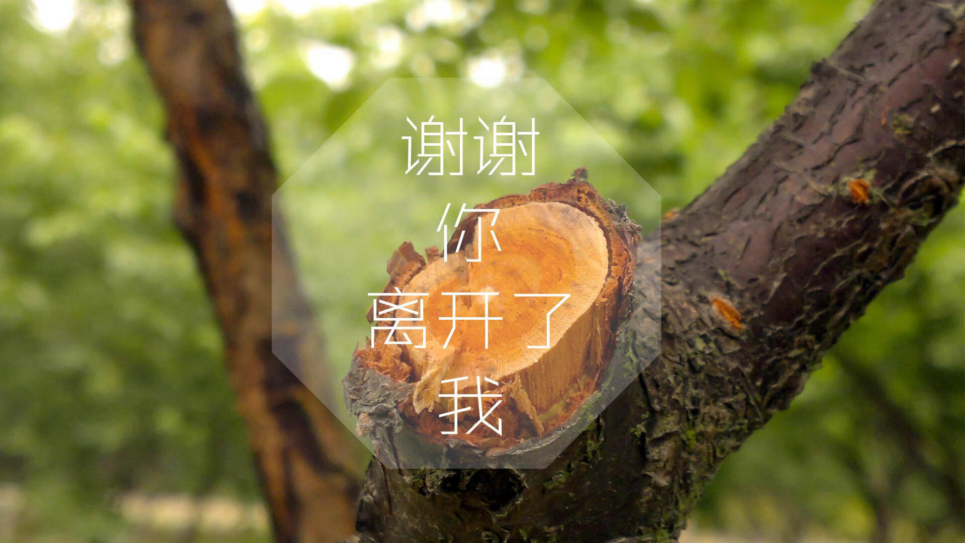 kaiyun开云·官方网站-塞尔维亚凭借制胜球，晋级欧洲杯主办分组，塞尔维亚欧国联小组排名