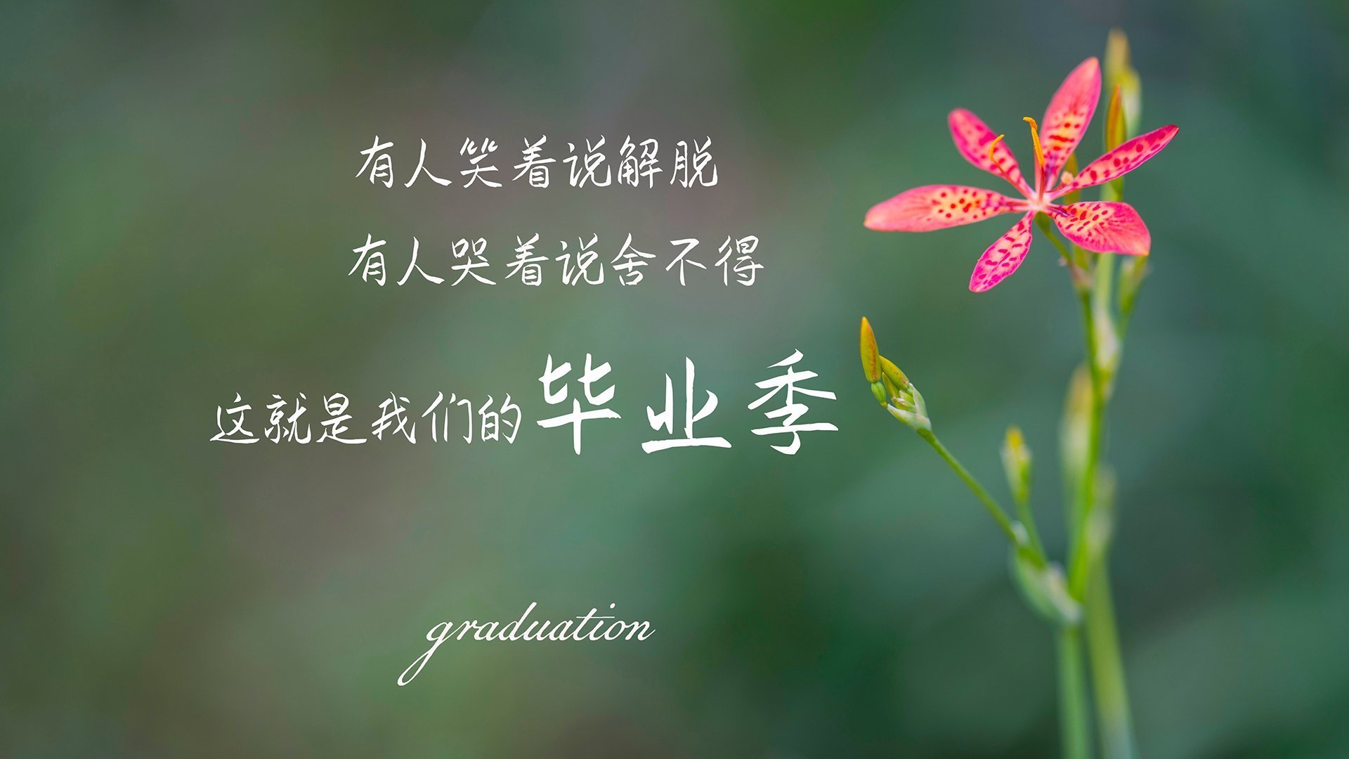 胜负悬念令人紧张，球员倾尽全力，胜负胜负