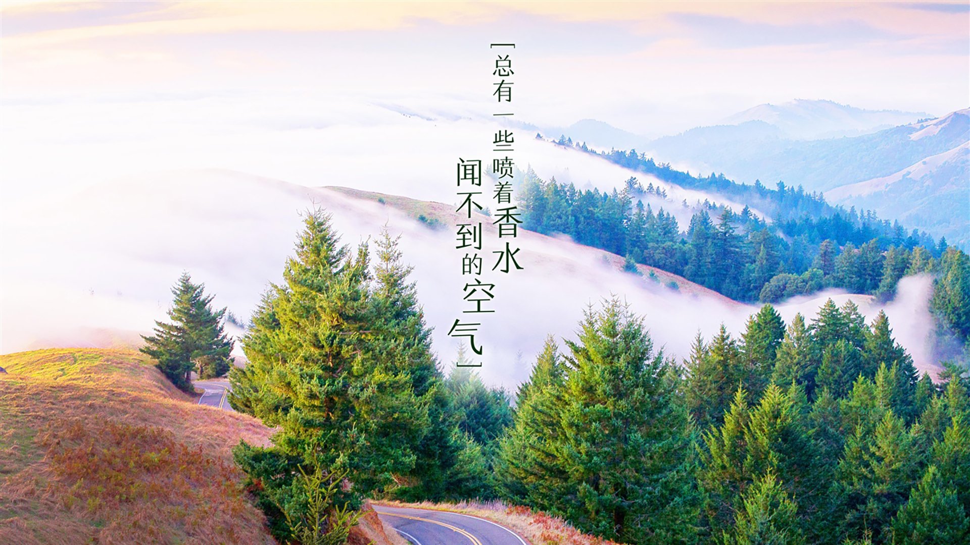 黑马风采再现，欧冠赛场惊艳绽放，欧冠黑马冠军