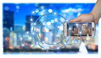 开云网页版-高校运动训练数据智能分析技术，高校运动项目的训练设置