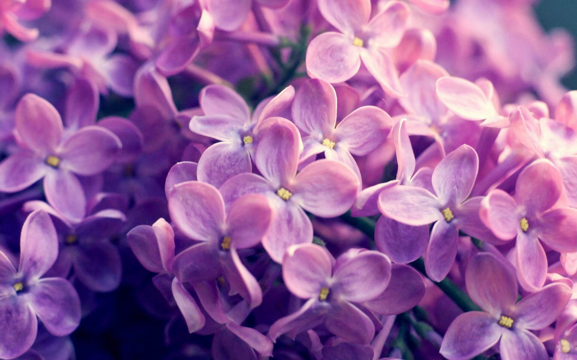 拉齐奥连续抢断提升攻防转换效率,拉齐奥最强时期