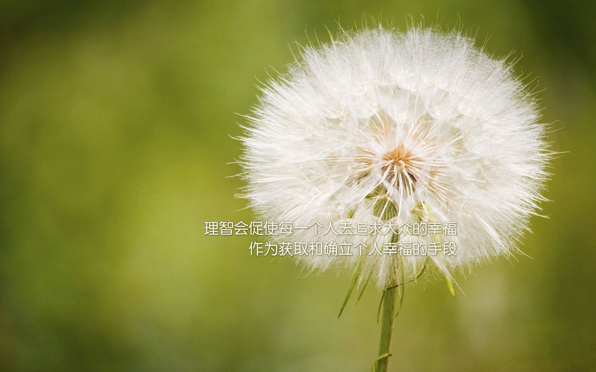 中国女排新主攻连得十分引热议,中国女排新阵容