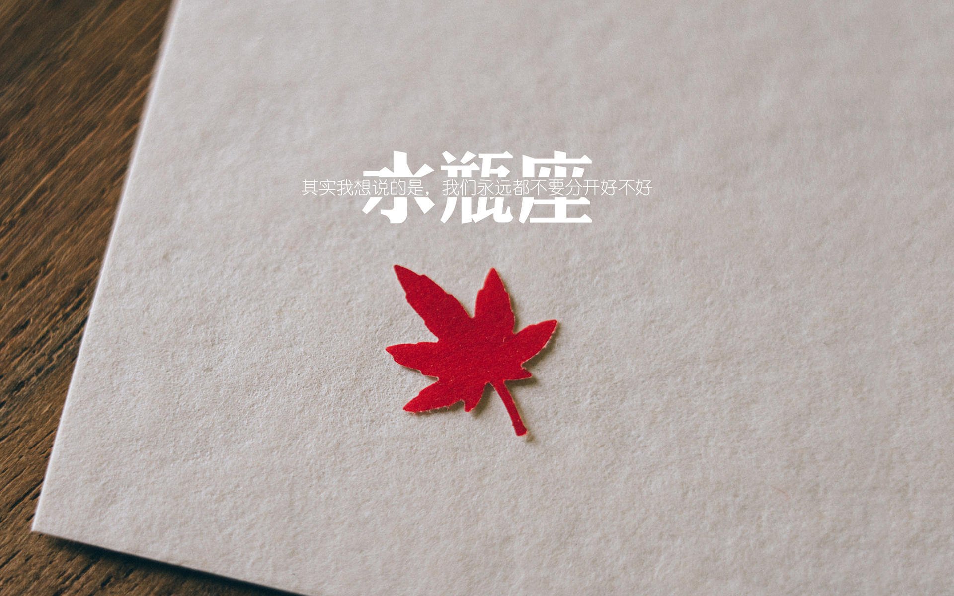 体育新闻中心冠军荣耀追踪