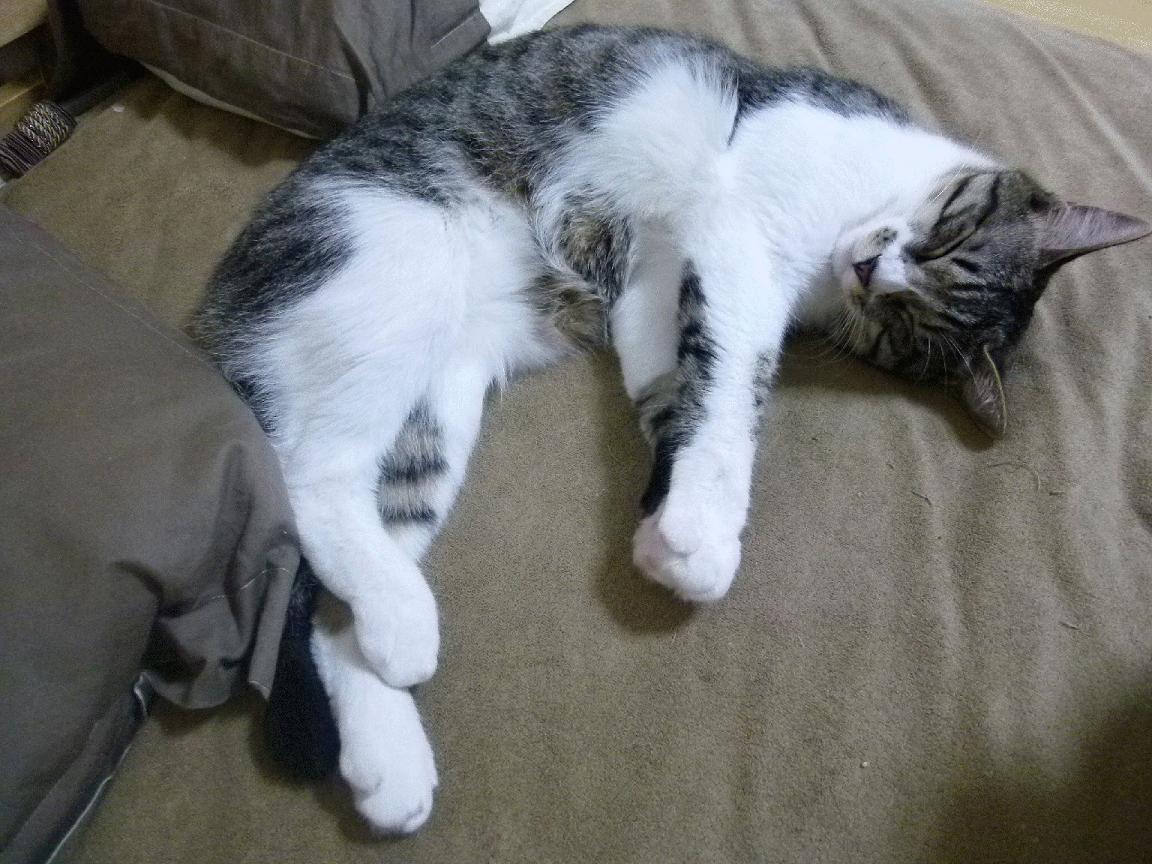 使用虚拟现实进行战术训练逐渐普及，虚拟现实战是利用虚拟现实技术创造的