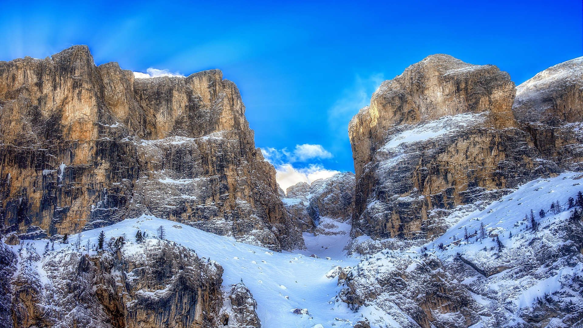 技术动作规范性与世界标准同步,技术动作规范的重要性