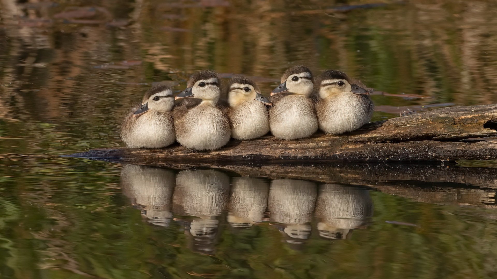 技术动作规范性与世界标准同步,技术动作规范的重要性