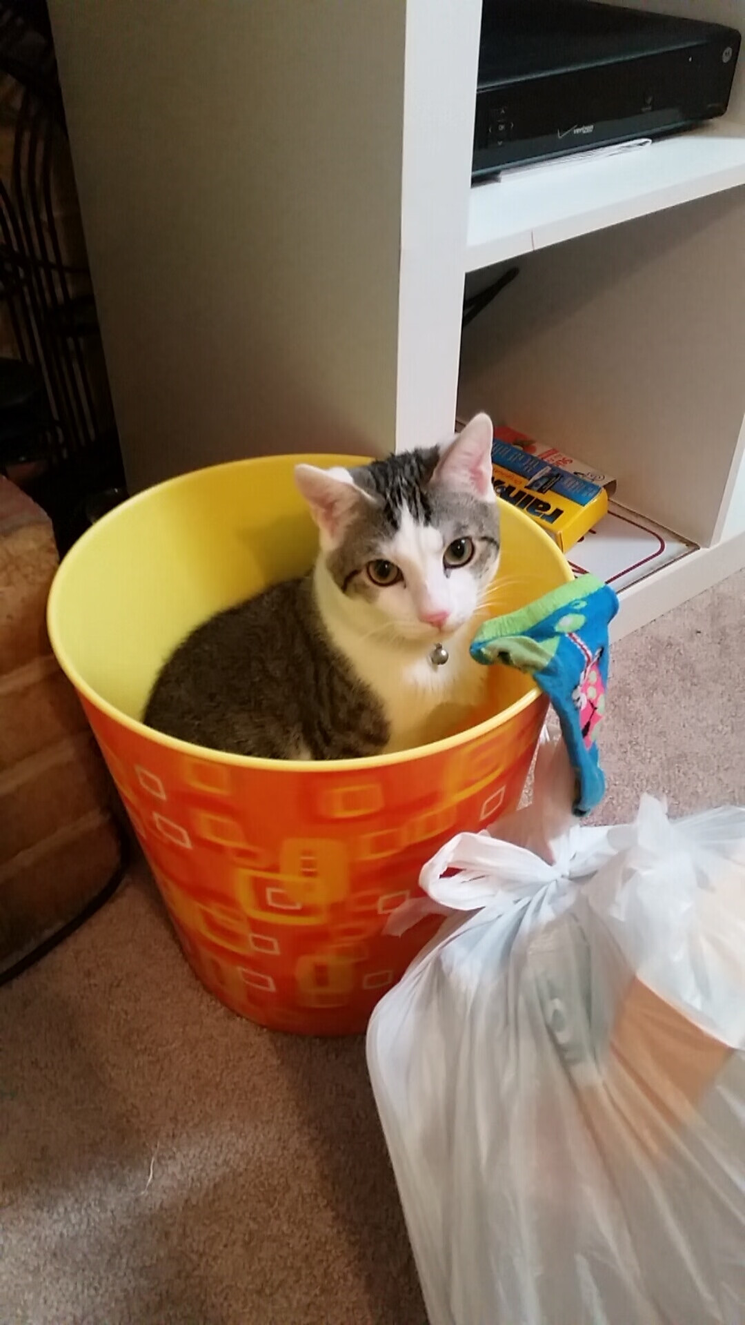 欧洲杯战术升级：变阵、突破、新战例！，欧洲杯2021新规则