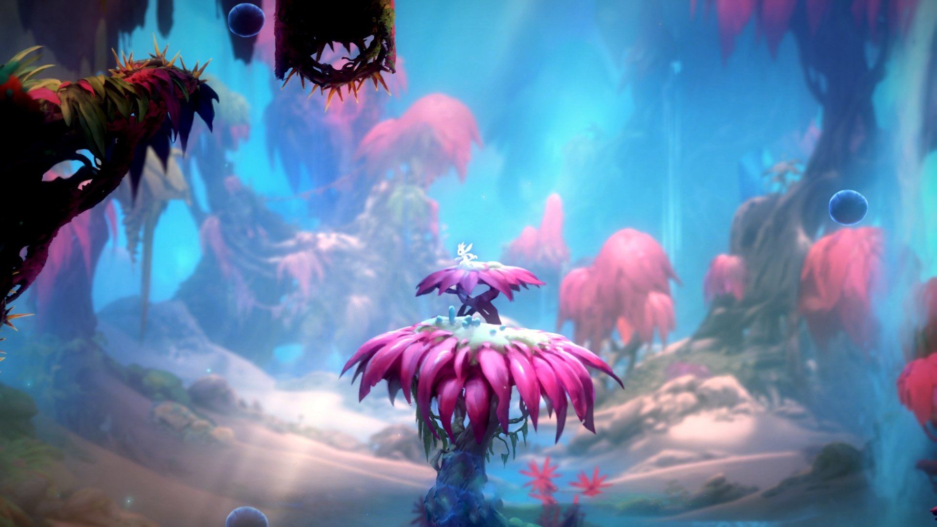 kaiyun网站-职业联赛推动可持续发展评估指标引导绿色足球方向，职业联赛足球游戏