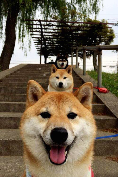 开云·Kaiyun网页版-长距离突破者：贾瓦迪用行动证明自己